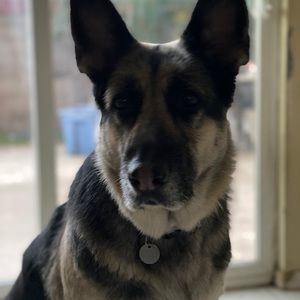 Meet your Posher, Mike